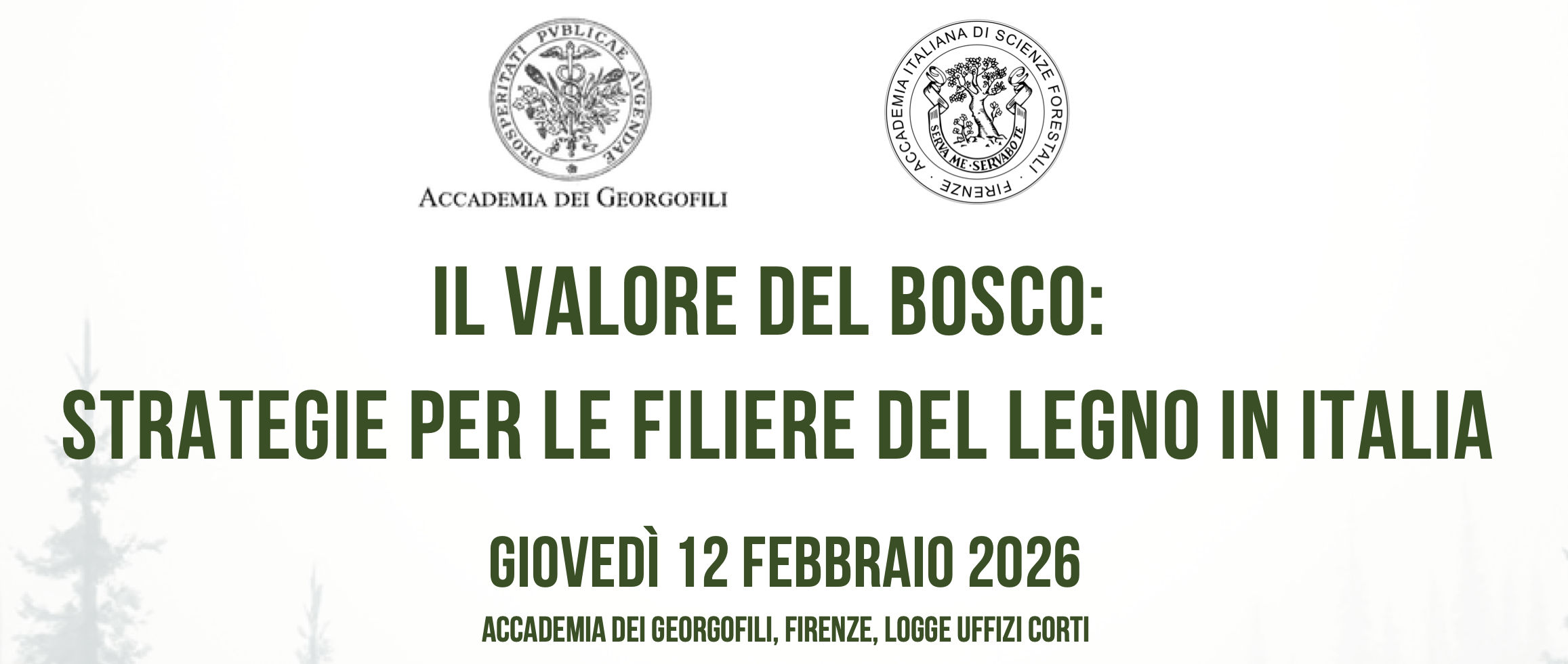Il valore del bosco: strategie per le filiere del legno in Italia